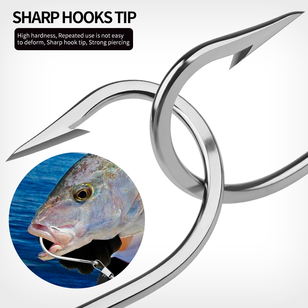 PROBEROS 5 ชิ้นตะขอสแตนเลสตะขอ - Fishing Hook Circle บทวิจารณ์และราคา